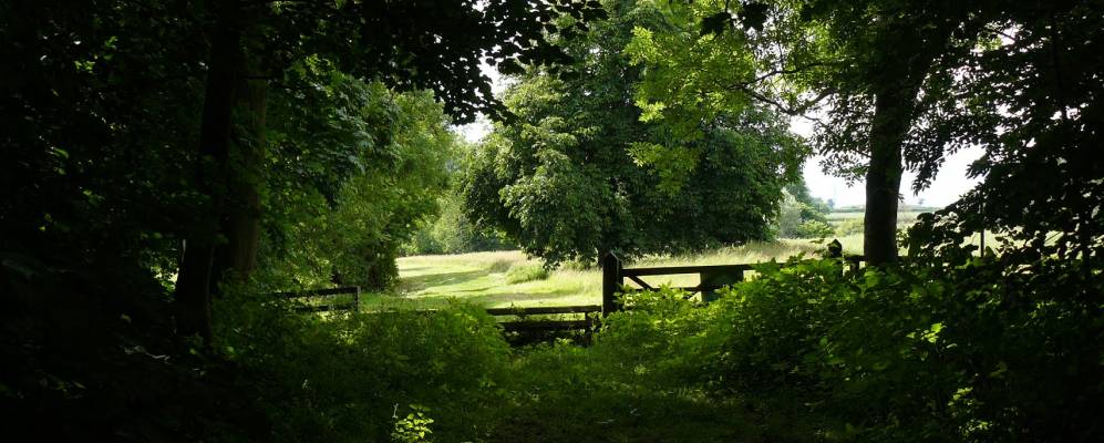 Фотография Голдсборо