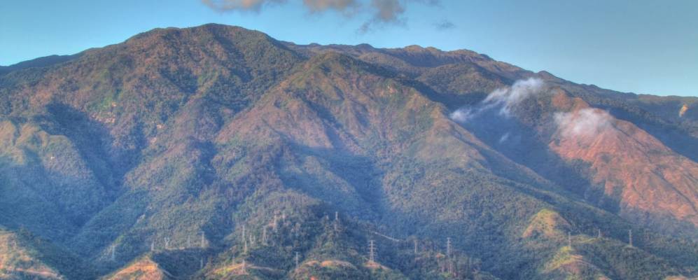 
            Фотография Петаре