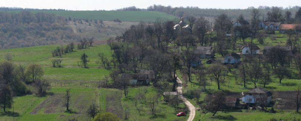 
            Фотография Надорожнева