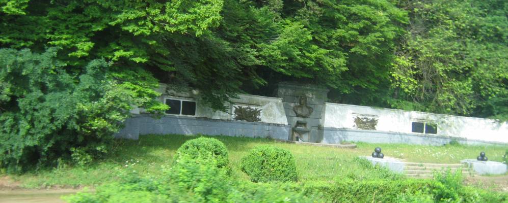 
            Фотография Лаванды