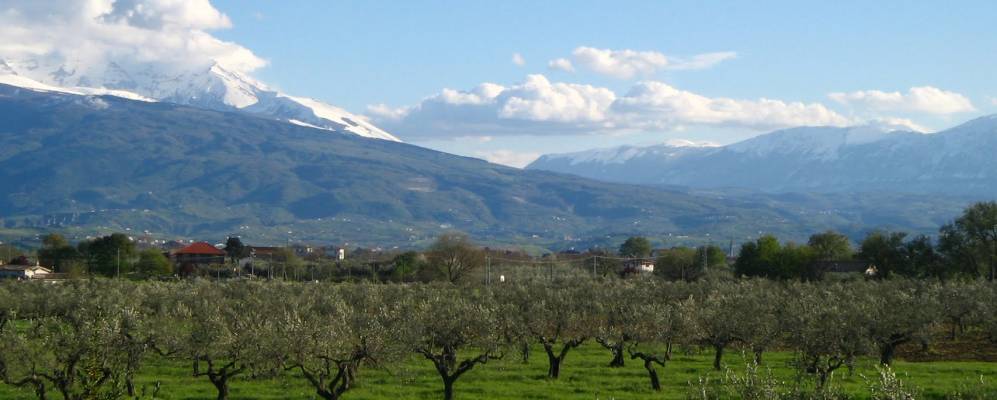 
            Фотография Чепагатти