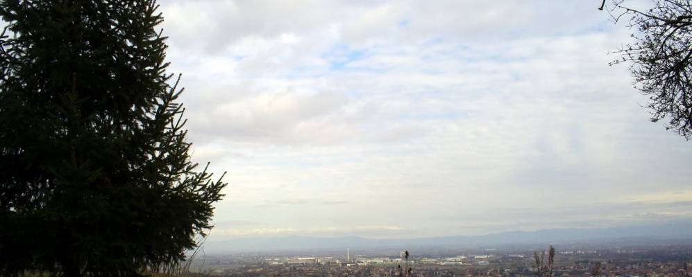 
            Фотография Сая