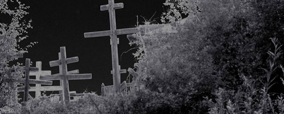 
            Фотография Павловска