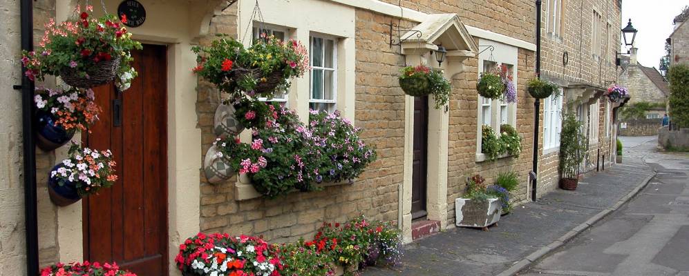 
            Фотография Мелкшема