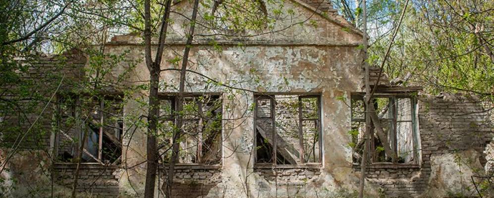 
            Фотография Боброво