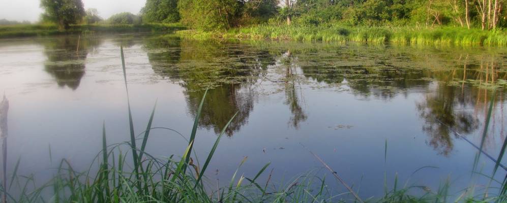 
            Фотография Соколово