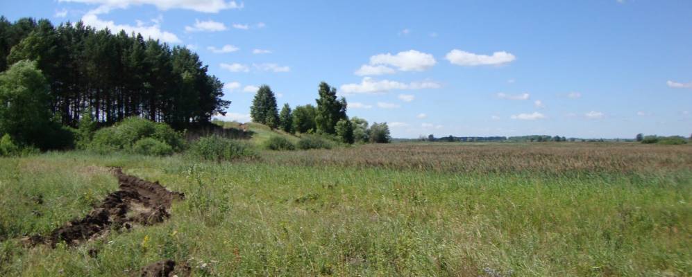 
            Фотография Зари