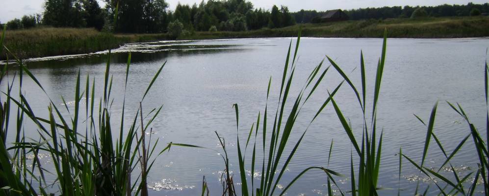 
            Фотография Словашей