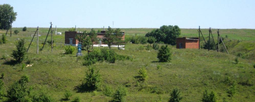 Фотография Петровского