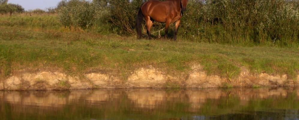 
            Фотография Калининского