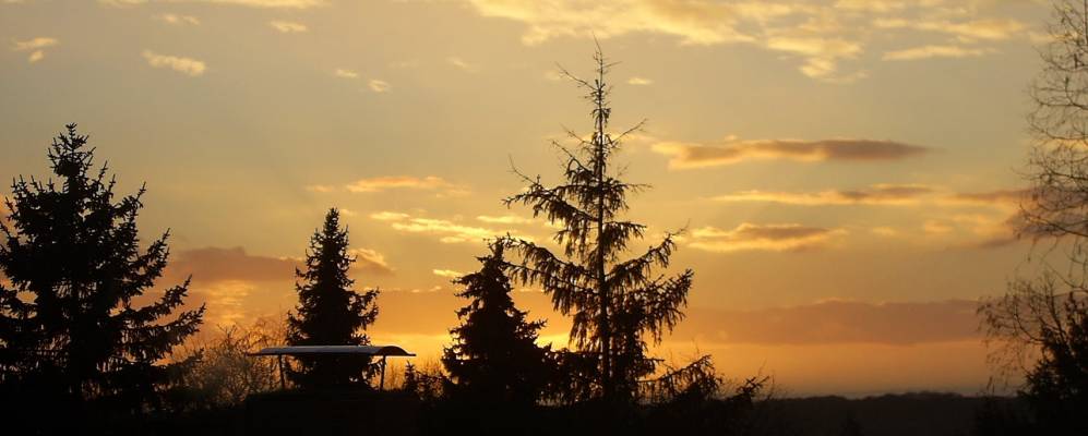 
            Фотография Хёхберга