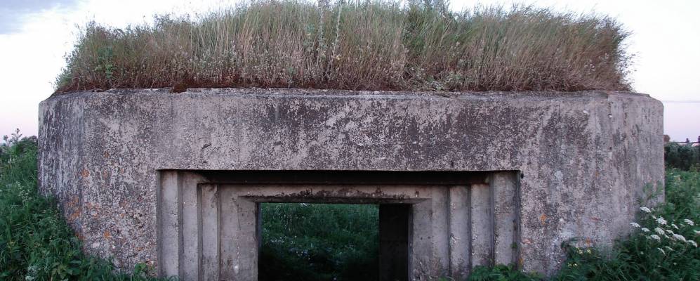 
            Фотография Мусино