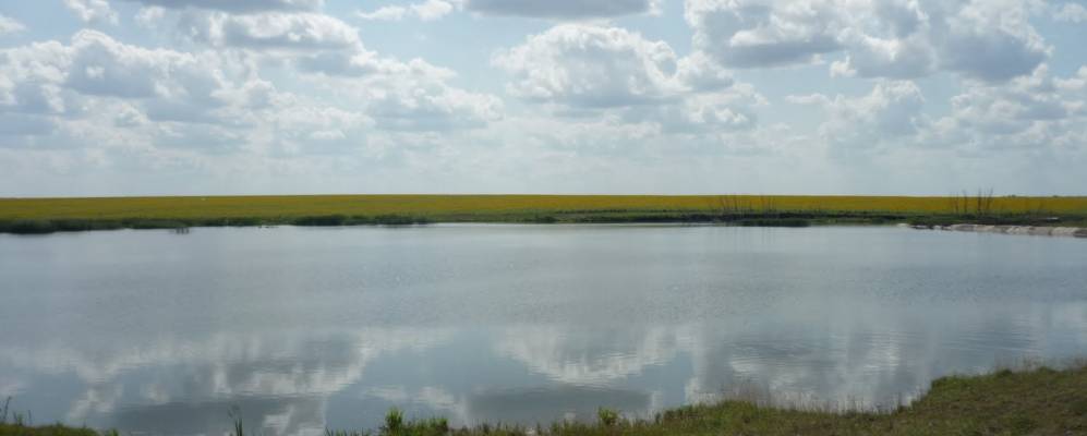 
            Фотография Нижне-Спасских Выселок