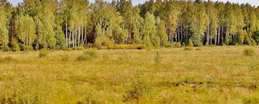 
            Фотография Каменки