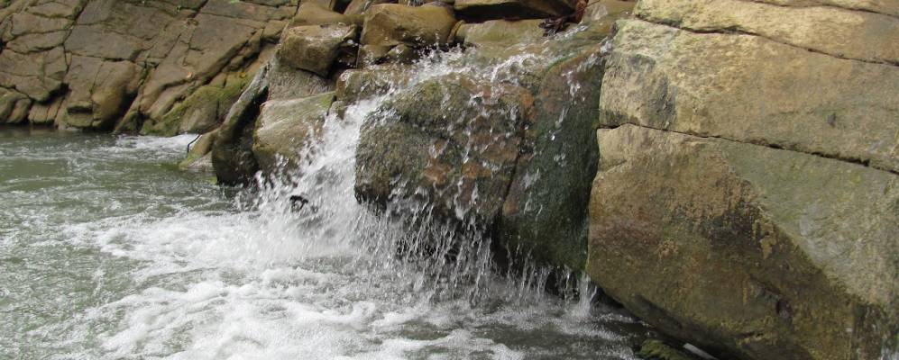 
            Фотография Фалькова