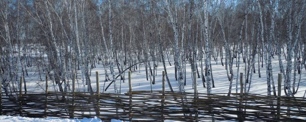 
            Фотография Демьяновка