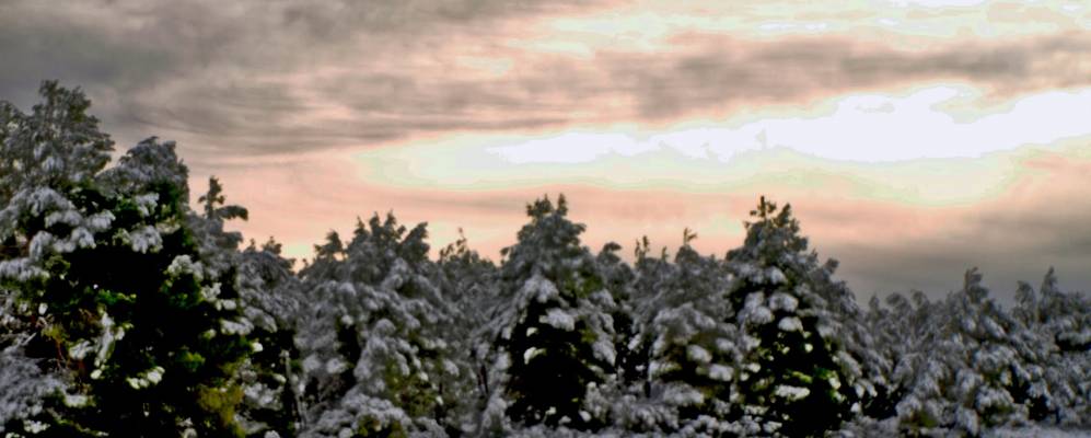 
            Фотография Посоондо