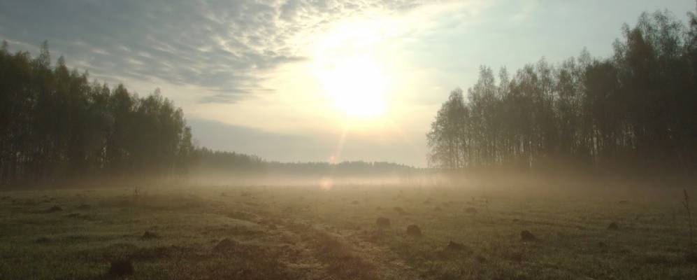 Фотография Маёвки