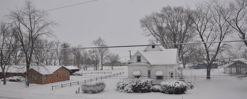 
            Фотография Катлина