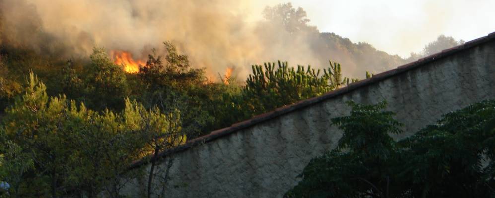 
            Фотография Бастеликачча