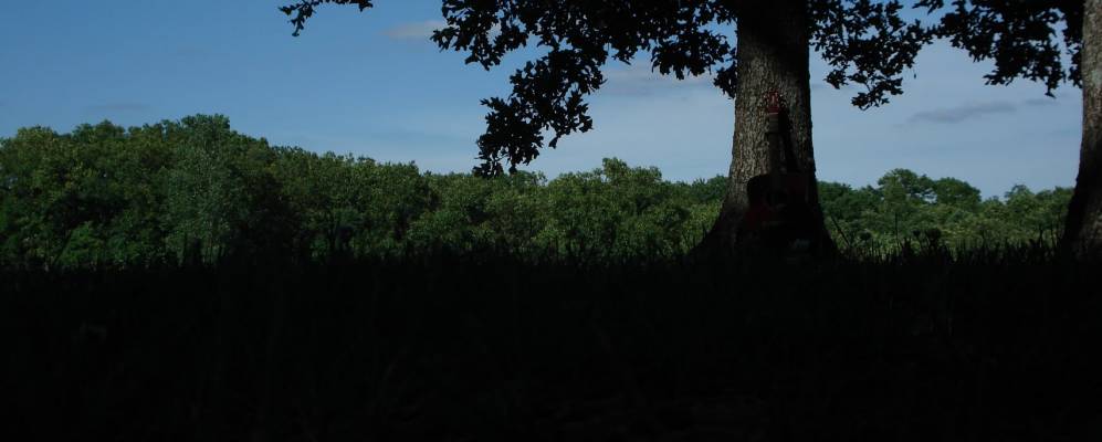 
            Фотография Хиллсборо