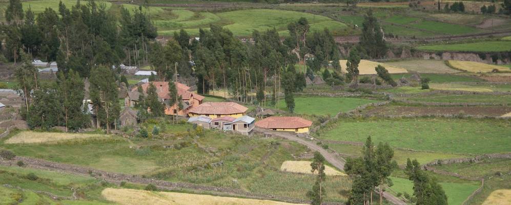 
            Фотография Копораке