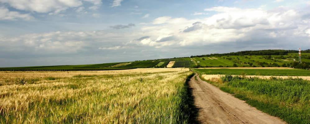 
            Фотография Блатнице