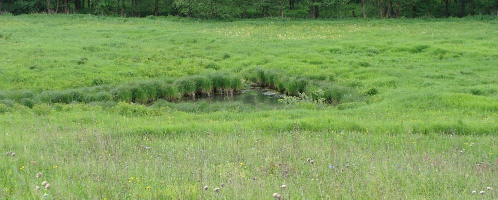 Фотография Новлянского