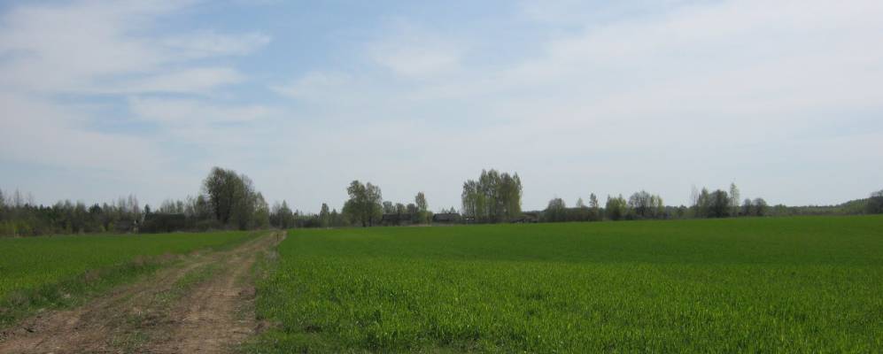 
            Фотография Муштарово