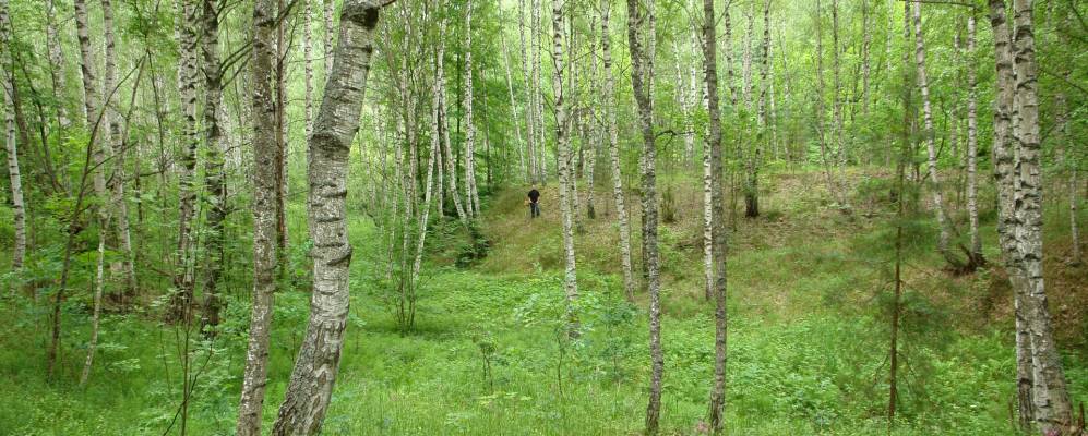 Фотография Миянга