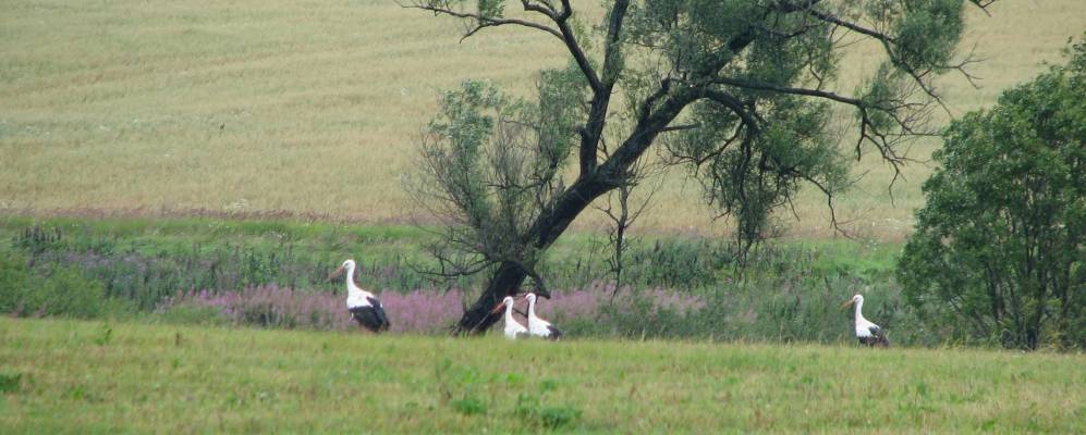 Фотография Митюшино