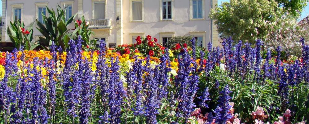 
            Фотография Пьер-де-Бреса