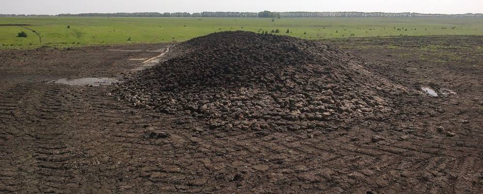 
            Фотография Ольшанки