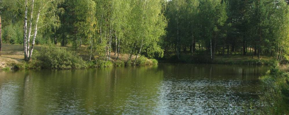 
            Фотография Кононово