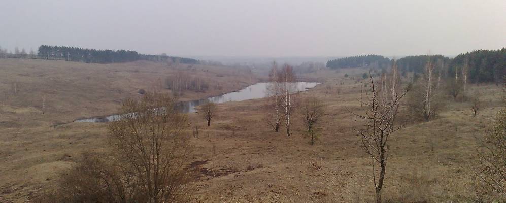 
            Фотография Алексеевского