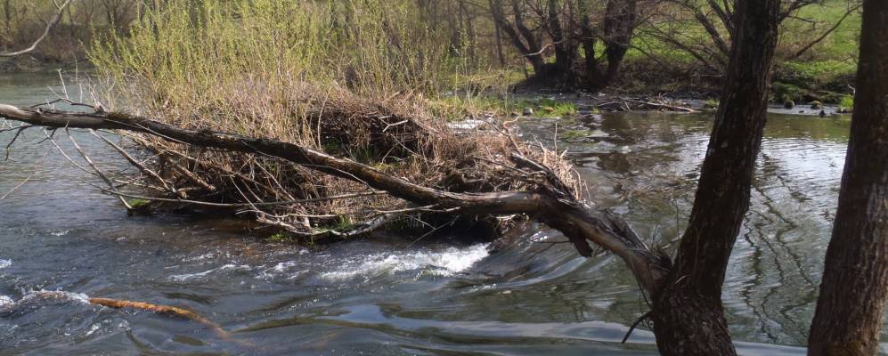 
            Фотография Петровска