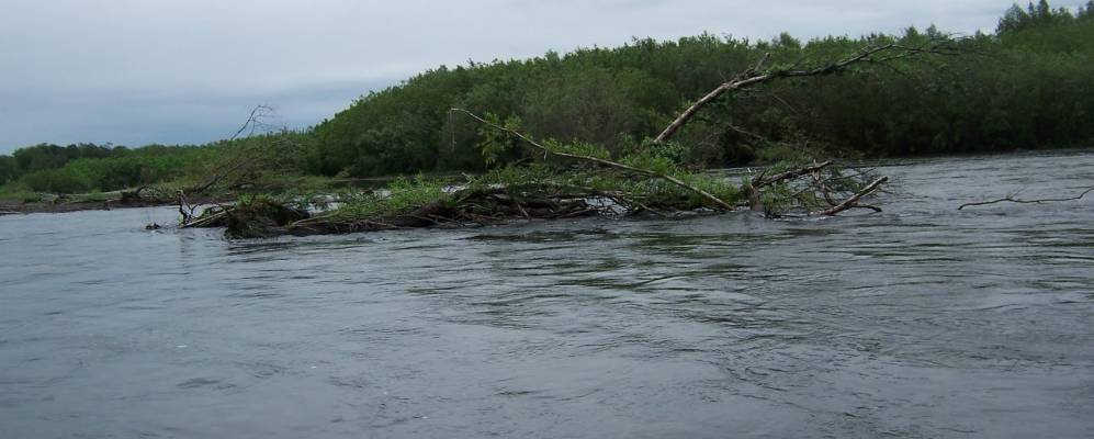 
            Фотография Карымая