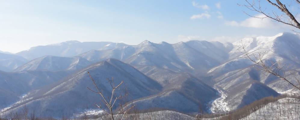 
            Фотография Краснореченского