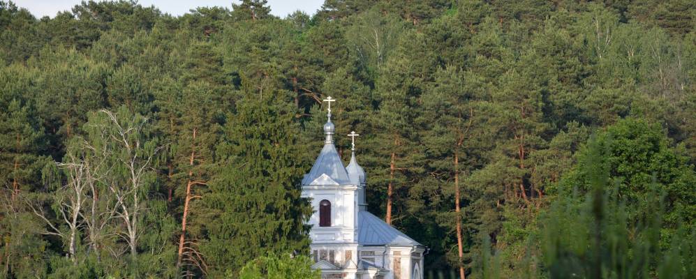 
            Фотография Миронима