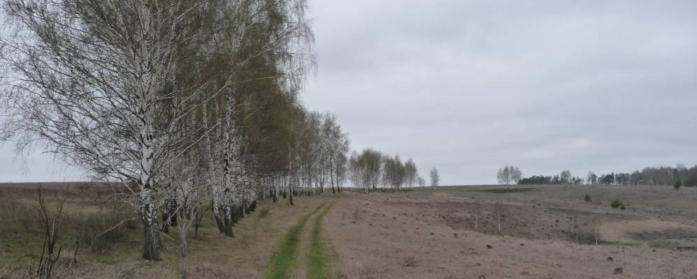 
            Фотография Тёплого