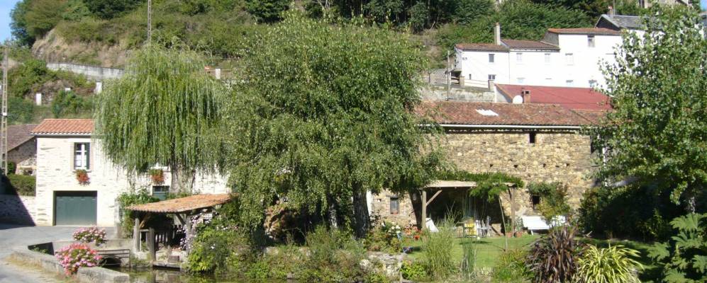 
            Фотография Мушама