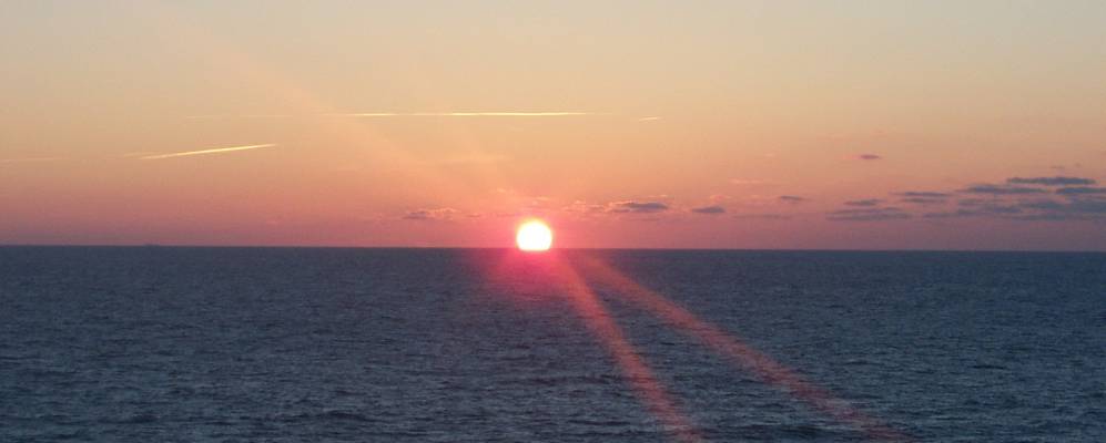 
            Фотография Олешни