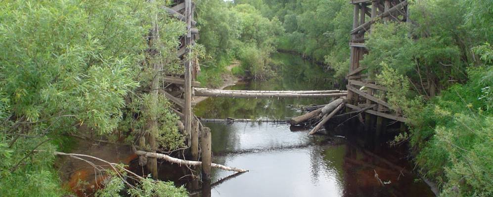 
            Фотография Луковецкого