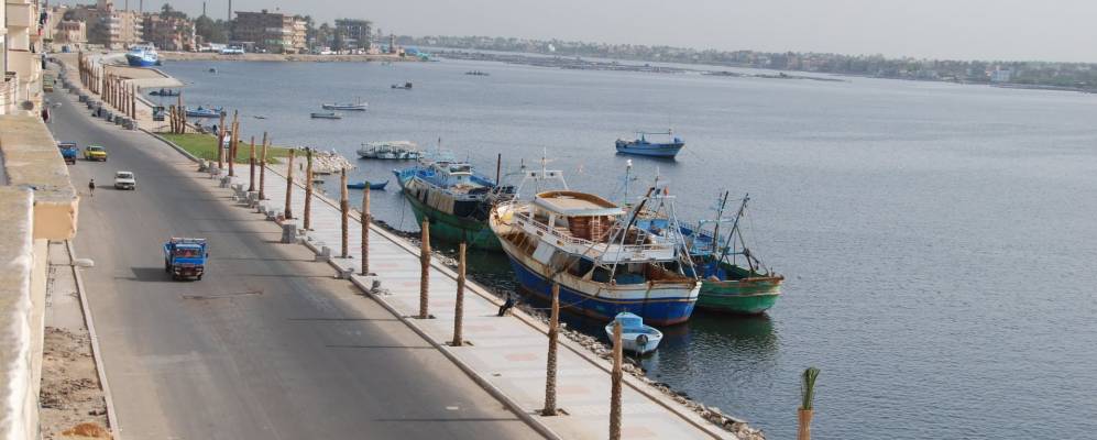 
            Фотография Розетты