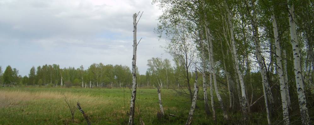 
            Фотография Зимовки (Покровского)
