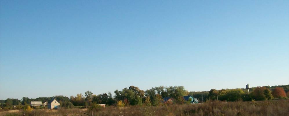 
            Фотография Гремучего