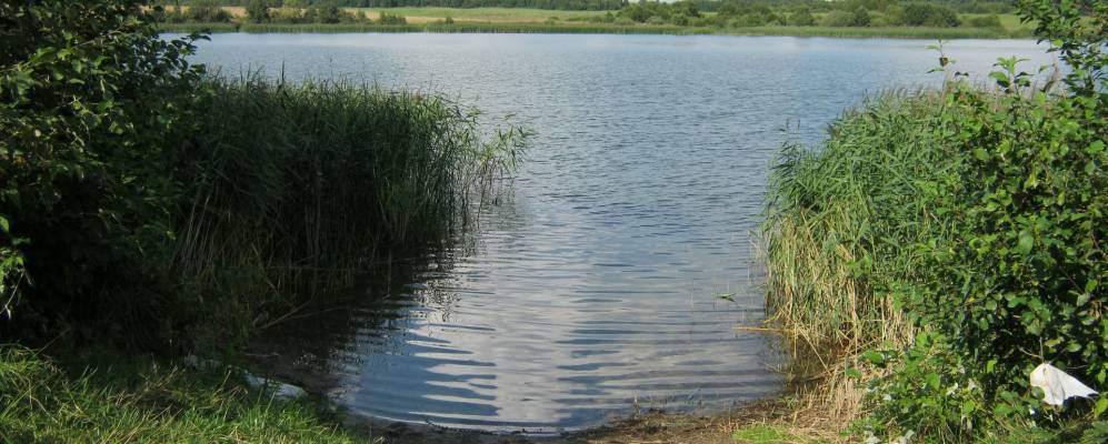 
            Фотография Слободы