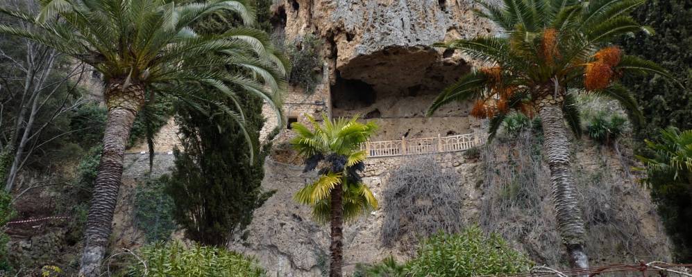 
            Фотография Вилькроз