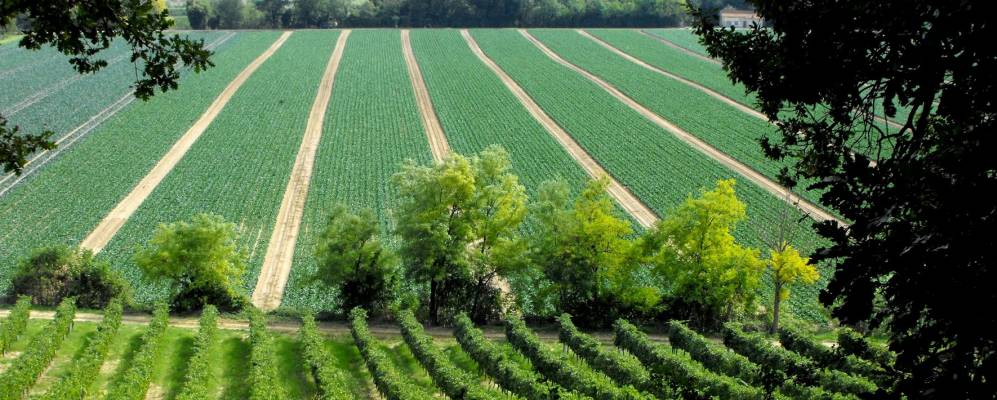 
            Фотография Ортеццано