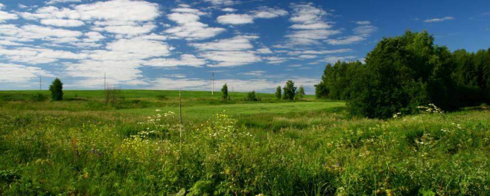 Фотография Лубенти